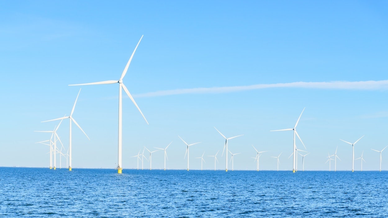 Birds are Killed by Offshore Wind Turbines
